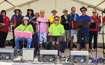 Seven Bays Ukes